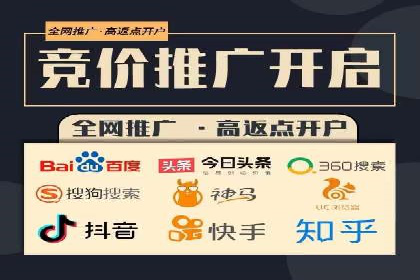 SEM优化策略案例分析